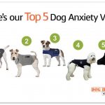 dog anxiety vests