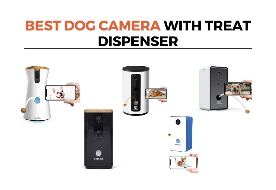 best dog camera with treat dispenser