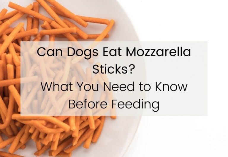 Can Dogs Eat Mozzarella Sticks? What You Need to Know Before Feeding.
