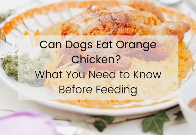 Can Dogs Eat Orange Chicken? What You Need to Know Before Feeding.