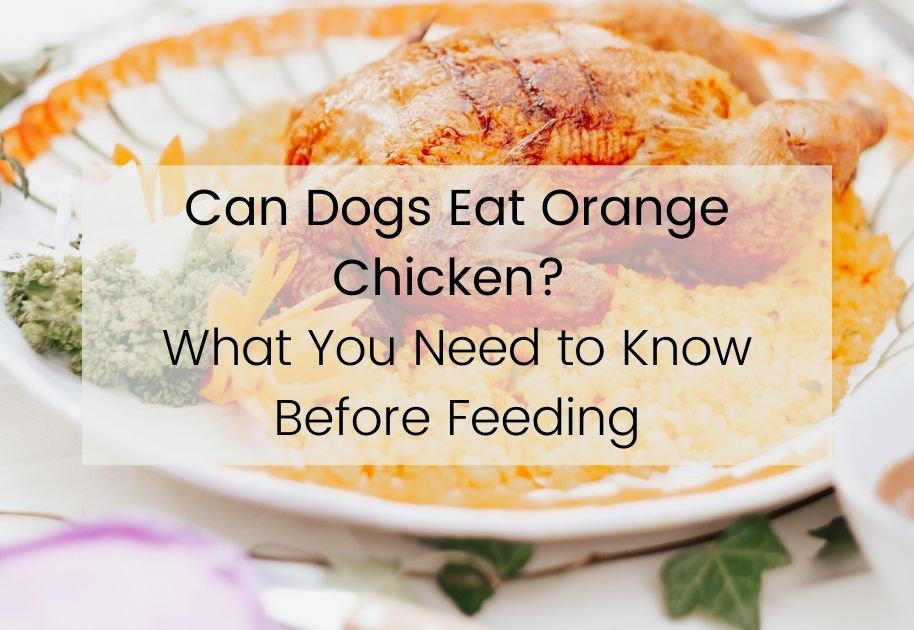Can Dogs Eat Orange Chicken, Can Dogs Have Oraange chicken