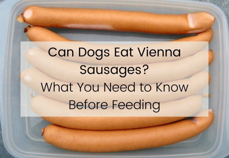 Can Dogs Eat Vienna Sausages?