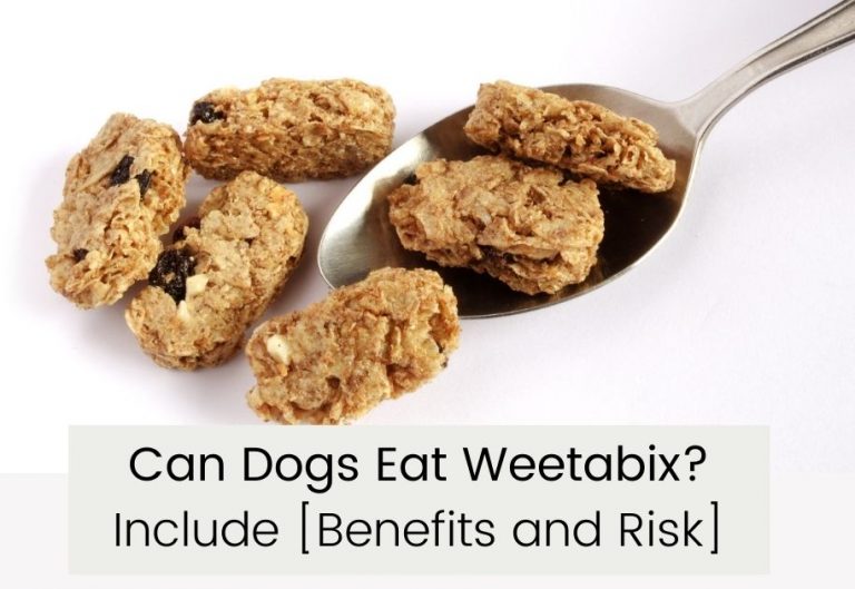 Can Dogs Eat Weetabix? [Benefits and Risks]